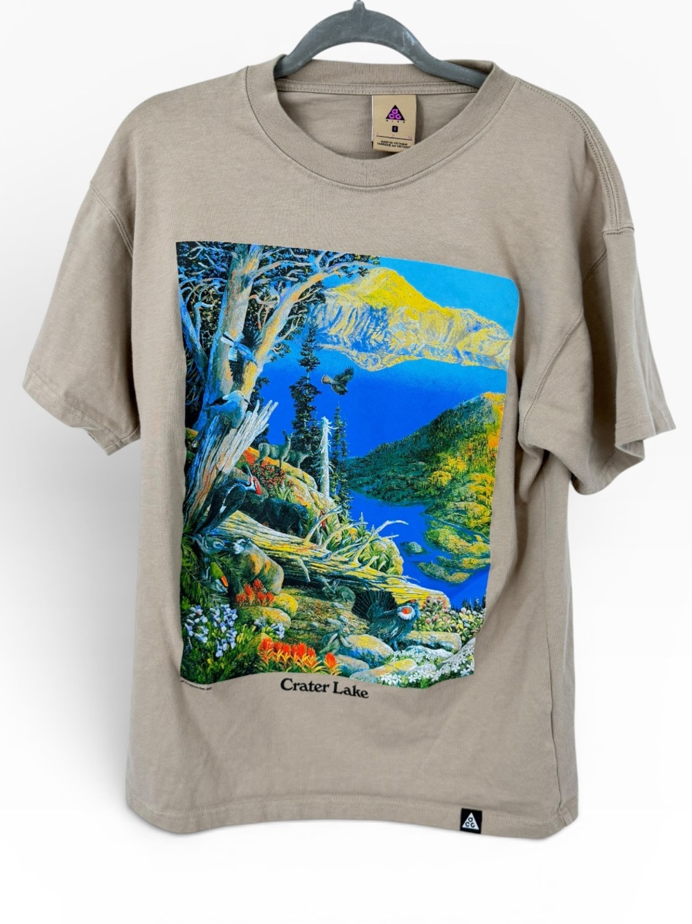 Nike ACG crater lake t shirt men’s Sz small